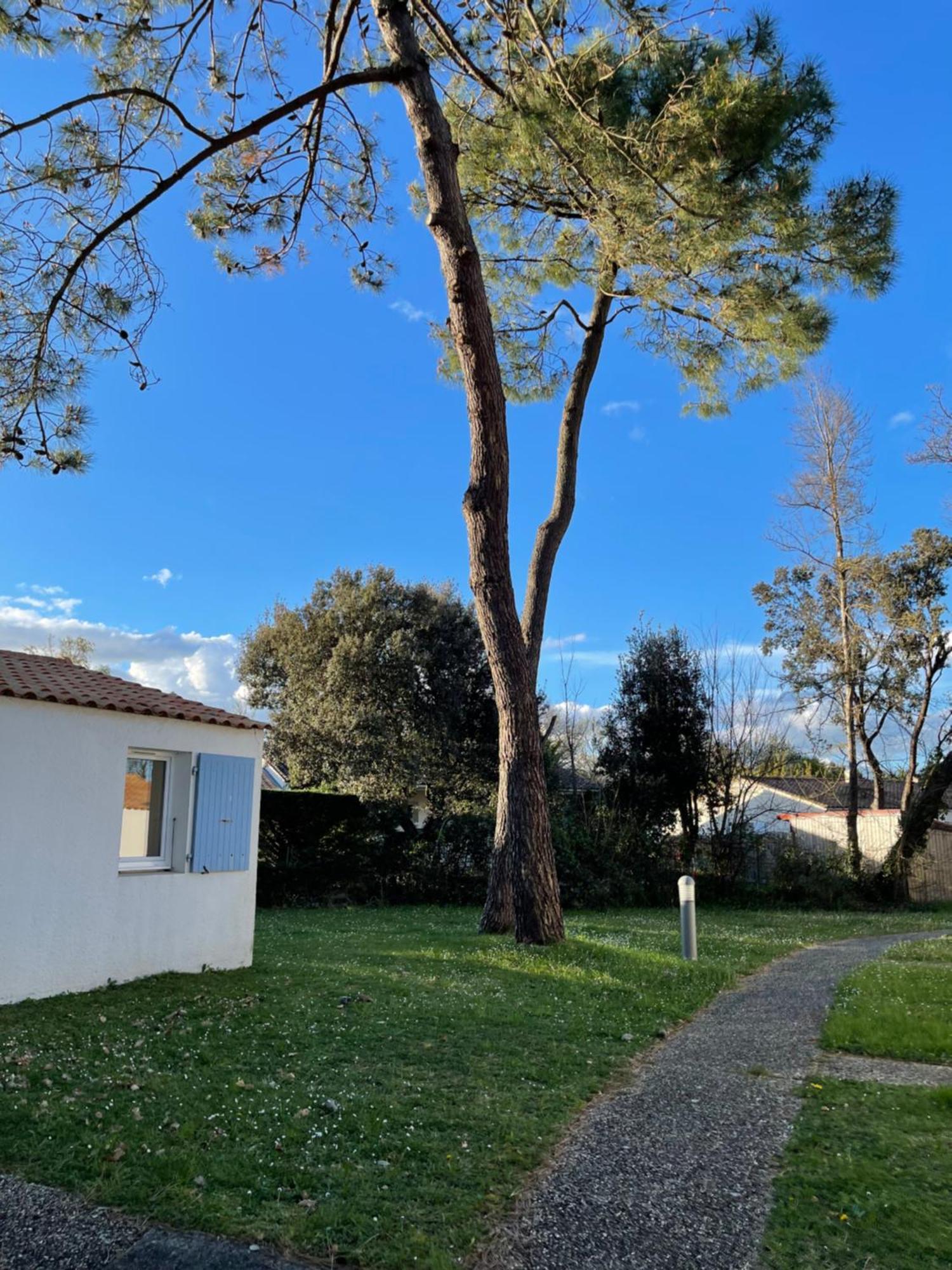 La Maison Des